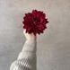 Головка жоржини Elisey бордова 15 см (9222-021) 9222-021 фото 3