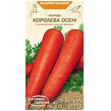 Насіння моркви